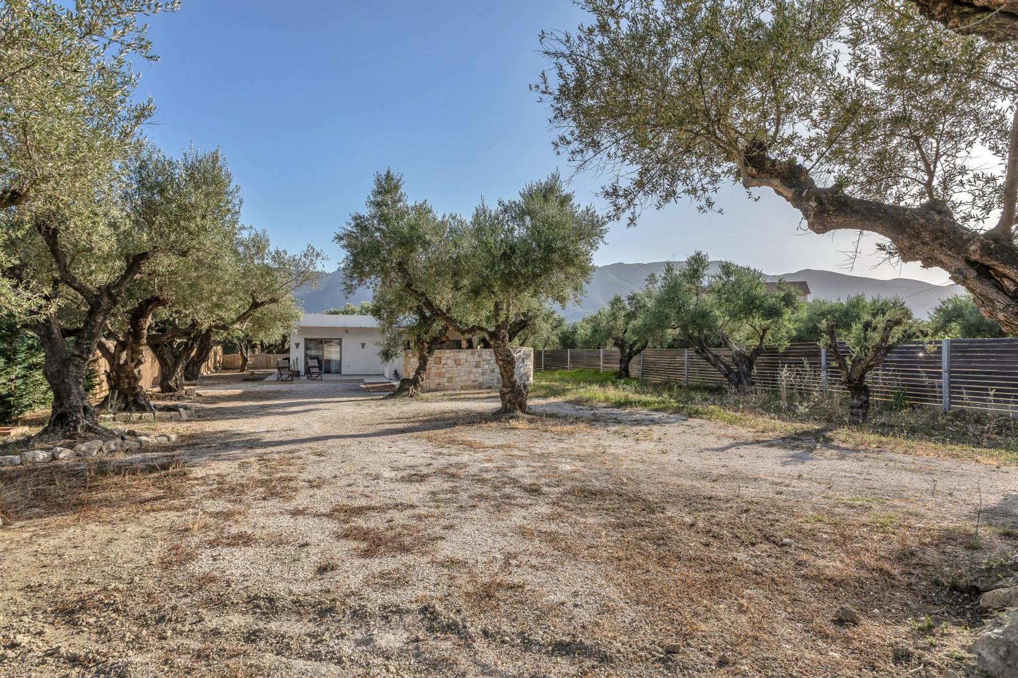 Natura Oliva House